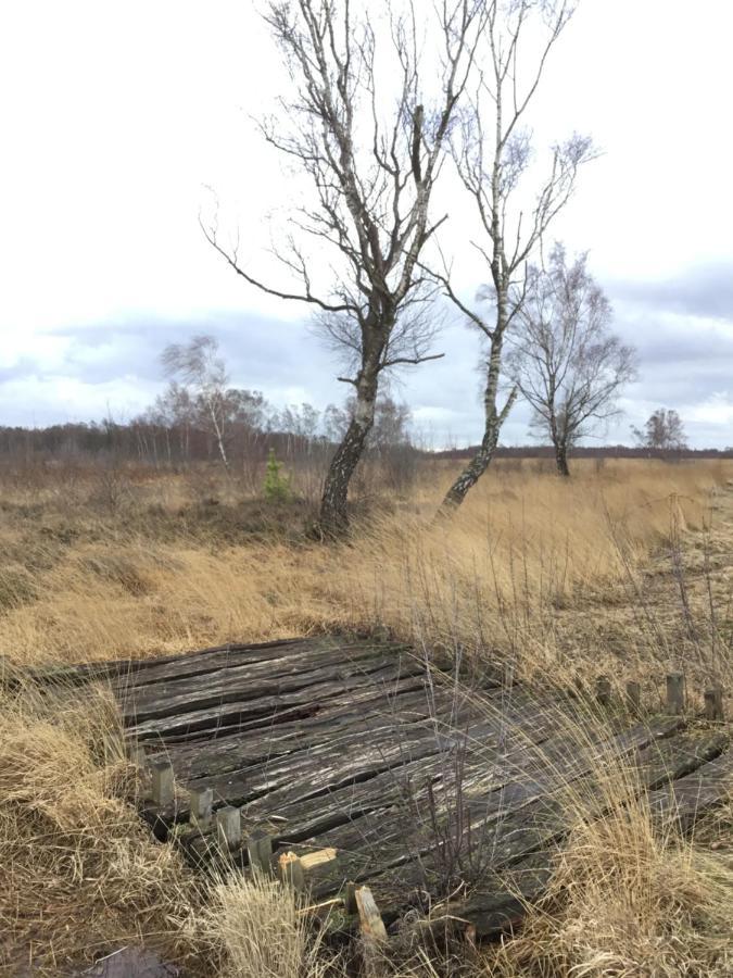 Kranich-Holzferienhaus 'Kleine Auszeit' Rehden Eksteriør bilde
